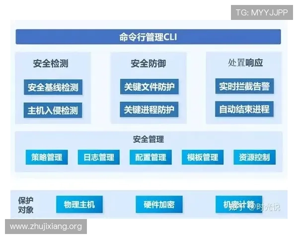 华体会体育国际娱乐如何保障用户资金安全,详解平台安全措施与风险控制策略