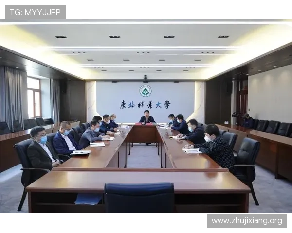 华体会体育国际官网入口常见问题解答，帮助用户快速解决登录与使用中的疑难