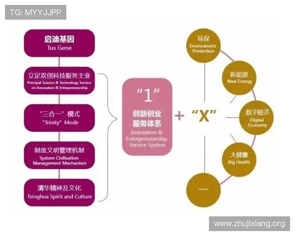 华体会平台网作为国米赞助商在体育营销中的创新实践与成功案例分析